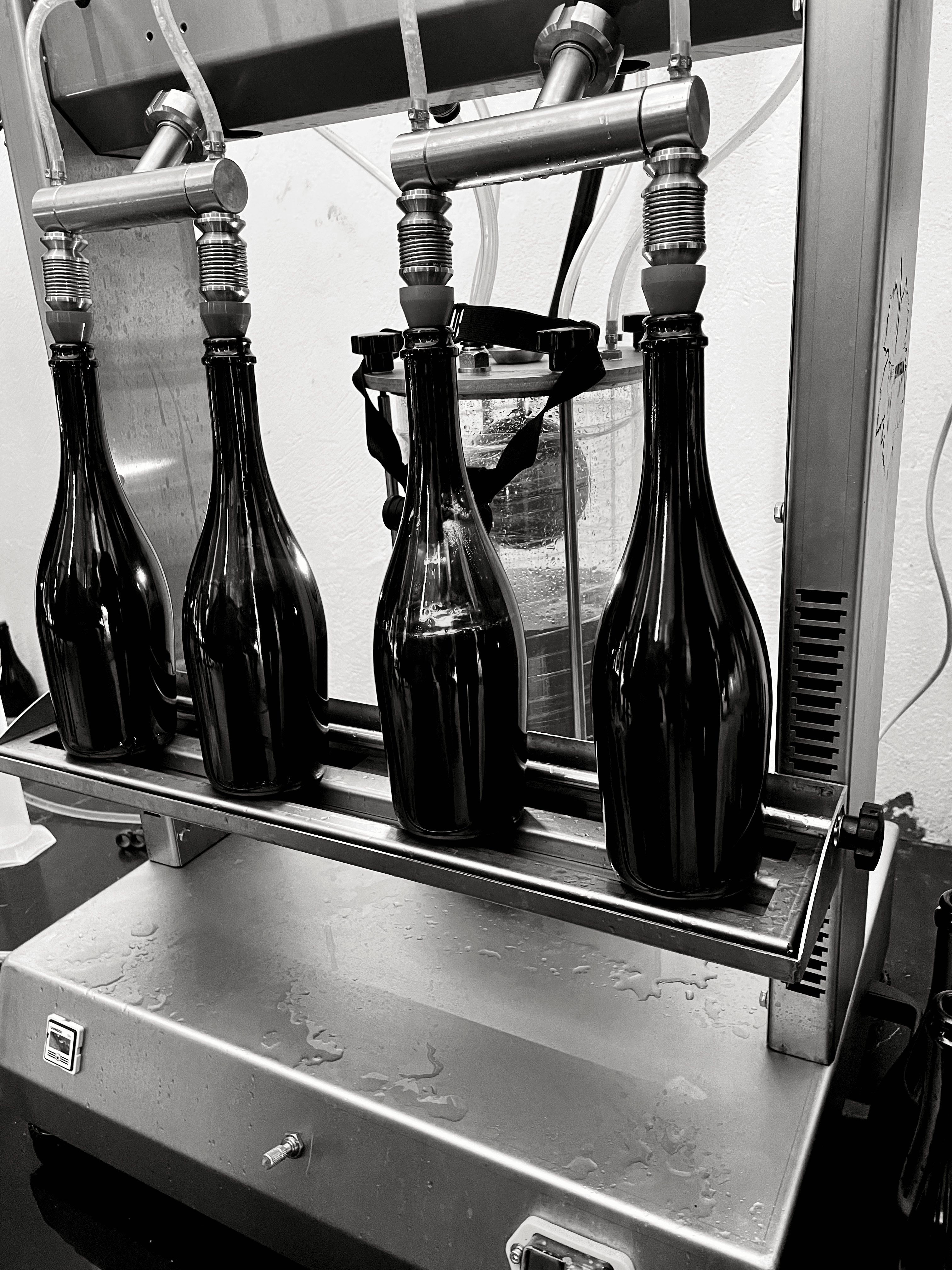 Mise en bouteille 1