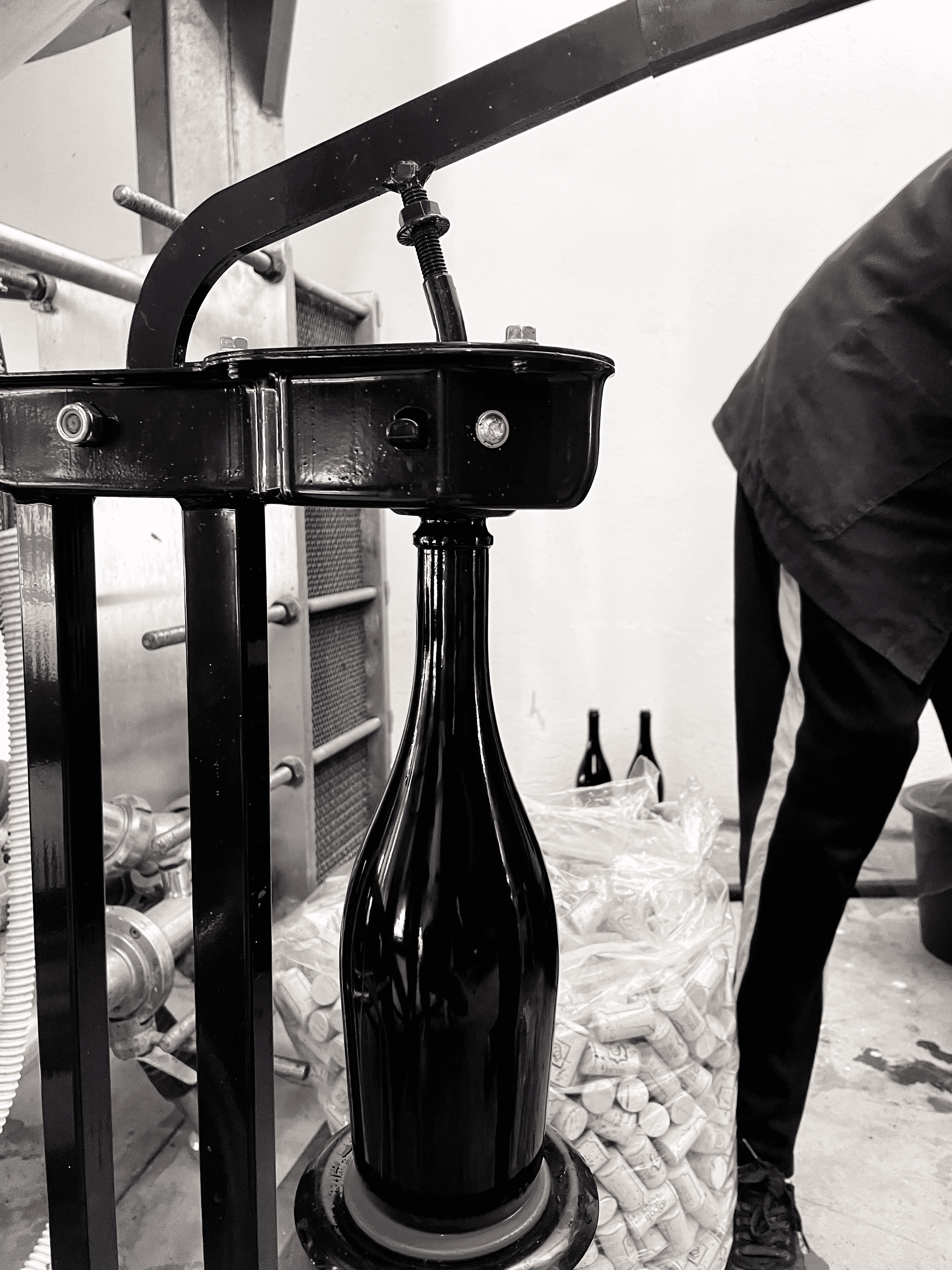 Mise en bouteille 2